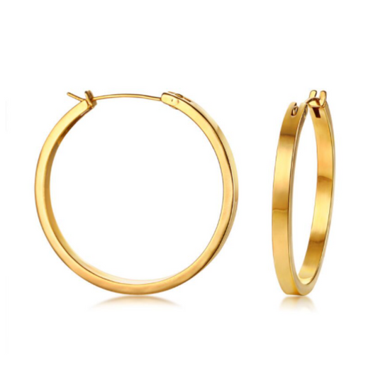 Mini Prism Hoops