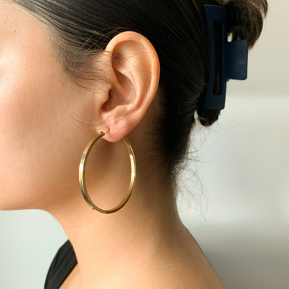 Prism Hoops